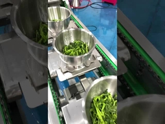 Máquina de embalaje de vegetales silvestres con elevador de recipientes de acero inoxidable 304 de grado alimenticio