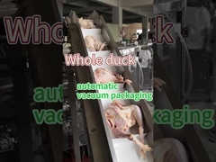 Máquina de envasado de alimentos congelados de carne de acero inoxidable de grado alimentario 304/316 Sellado de preservación al vacío